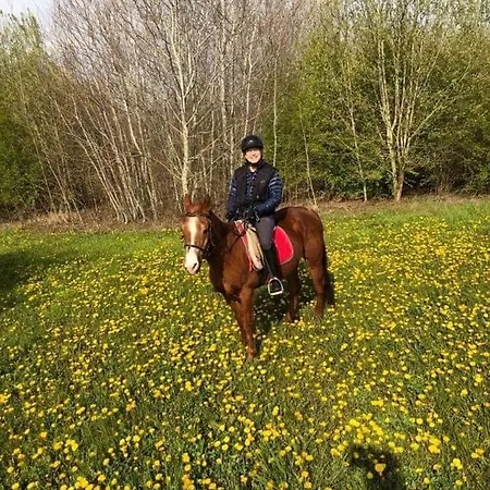 Bloemenweelde Nocleg ze śniadaniem
