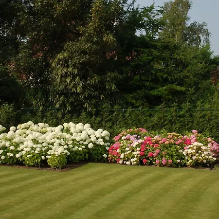 Bloemenweelde Bed & Breakfast