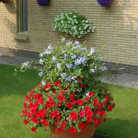 Bloemenweelde Nocleg ze śniadaniem Kortrijk