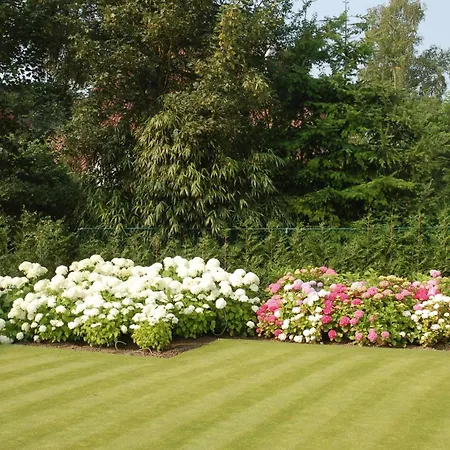 Bed & Breakfast Bloemenweelde 2*