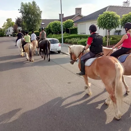 Bed & Breakfast Bloemenweelde 2*